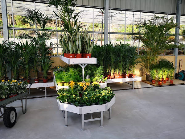 Viveros del Valle renouvelle l’exposition de plantes et de fleurs