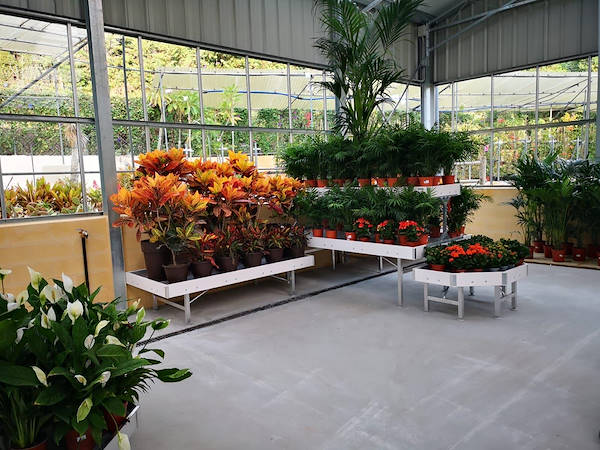 Viveros del Valle renouvelle l’exposition de plantes et de fleurs