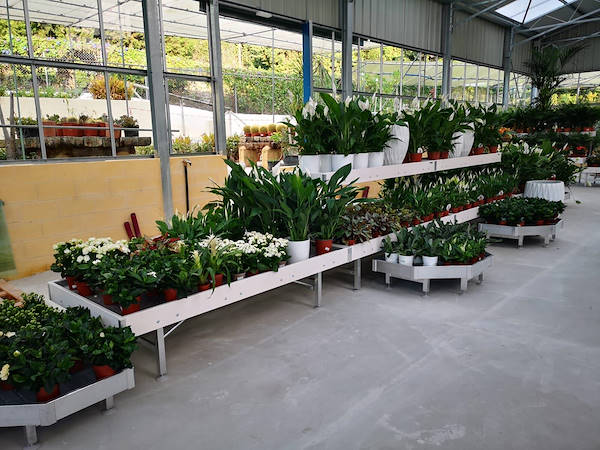 Viveros del Valle renueva la exposición de plantas y flores