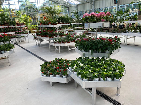 Viveros del Valle rinnova l'esposizione di piante e fiori