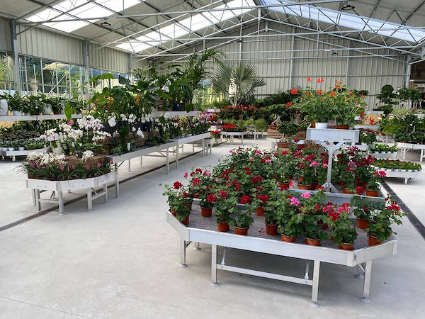Viveros del Valle rinnova l'esposizione di piante e fiori