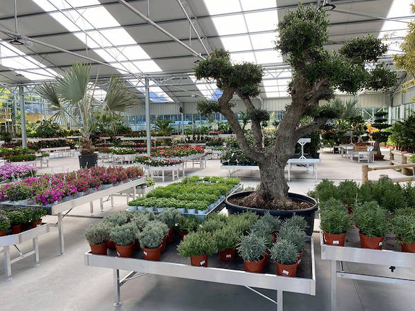 Viveros del Valle rinnova l'esposizione di piante e fiori