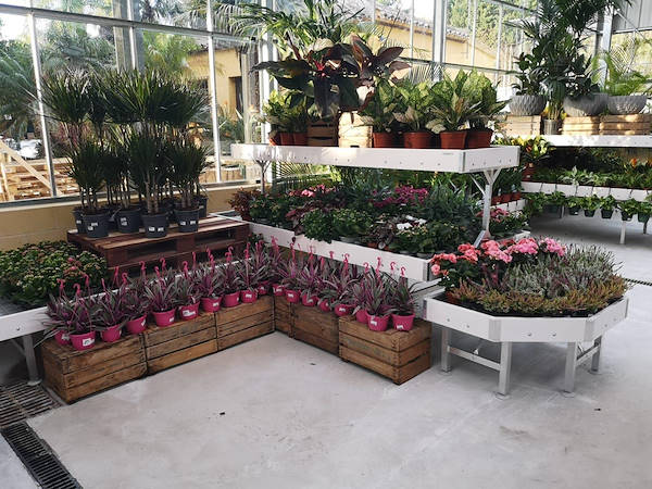 Viveros del Valle rinnova l'esposizione di piante e fiori