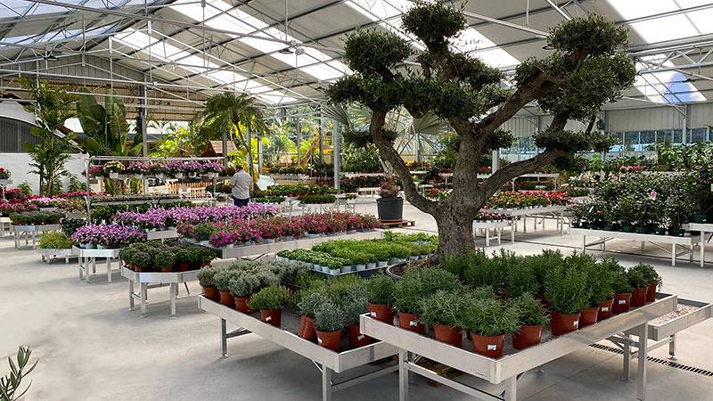 Viveros del Valle rinnova l'esposizione di piante e fiori