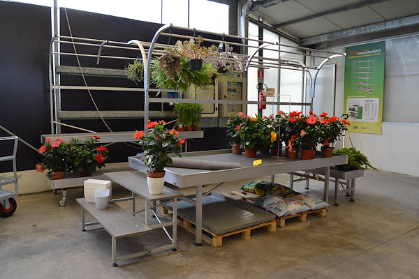 Welcome to our new showroom! 