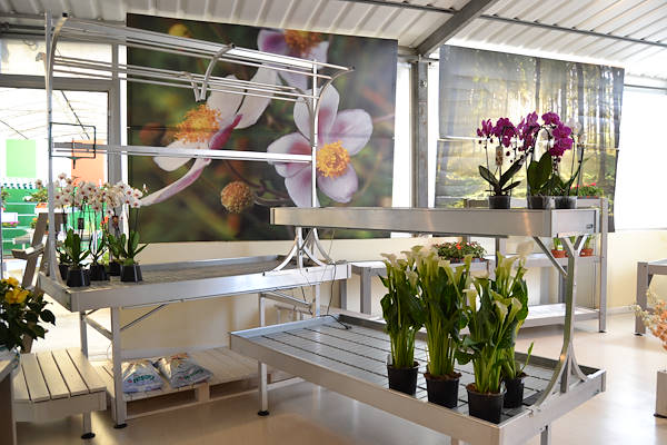 Welcome to our new showroom! 