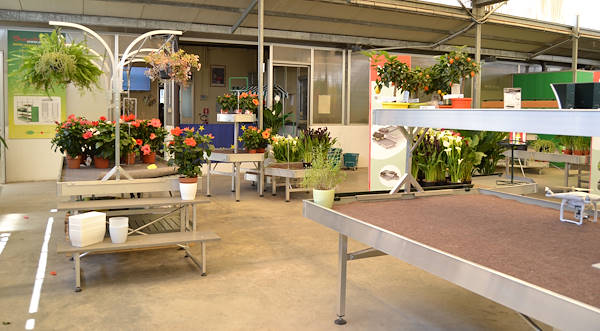 Welcome to our new showroom! 