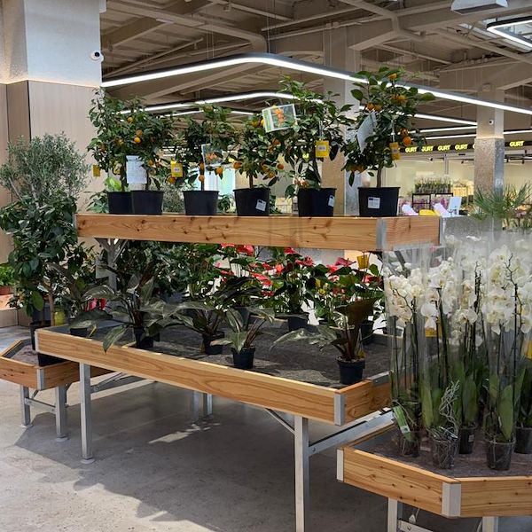 Gurt Flora sceglie gli arredi Orlandelli per il suo imponente store di Kyiv
