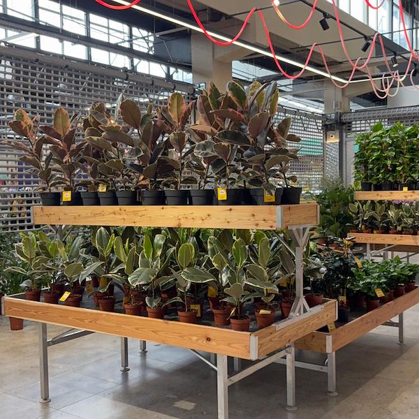 Gurt Flora sceglie gli arredi Orlandelli per il suo imponente store di Kyiv
