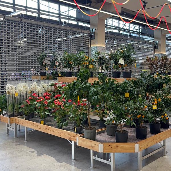 Gurt Flora sceglie gli arredi Orlandelli per il suo imponente store di Kyiv