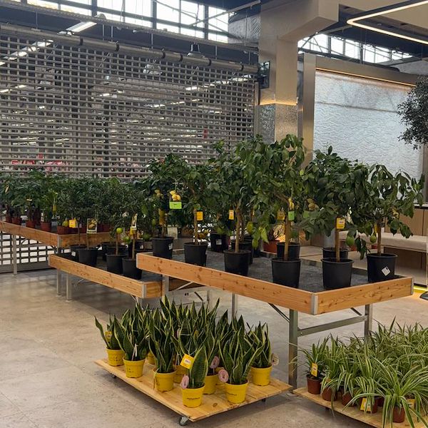 Gurt Flora sceglie gli arredi Orlandelli per il suo imponente store di Kyiv