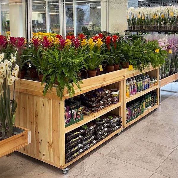Il design di Organizzazione Orlandelli