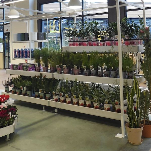 Wandpalette aus Holz