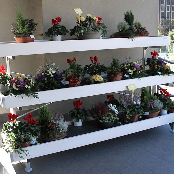 Palet de exhibición de pared de madera