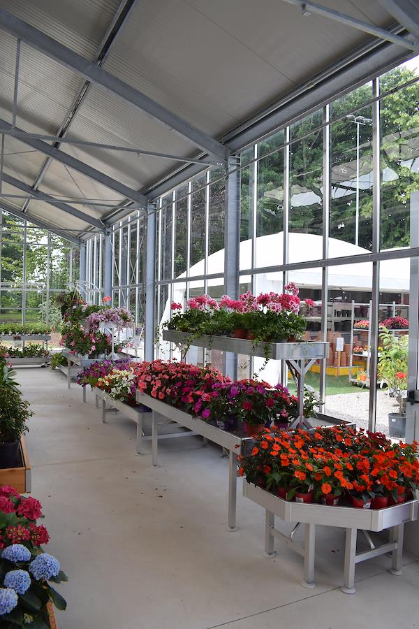 Caricamento massivo 2025-09-25 / 15