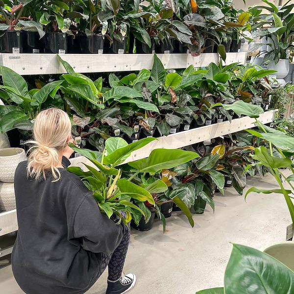 Caricamento massivo 2025-09-25 / 3