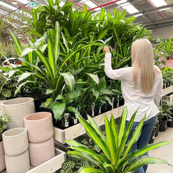 Caricamento massivo 2025-09-25 / 4