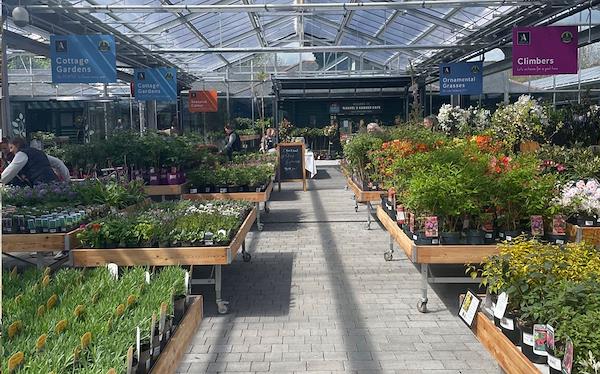 Caricamento massivo 2025-09-25 / 46