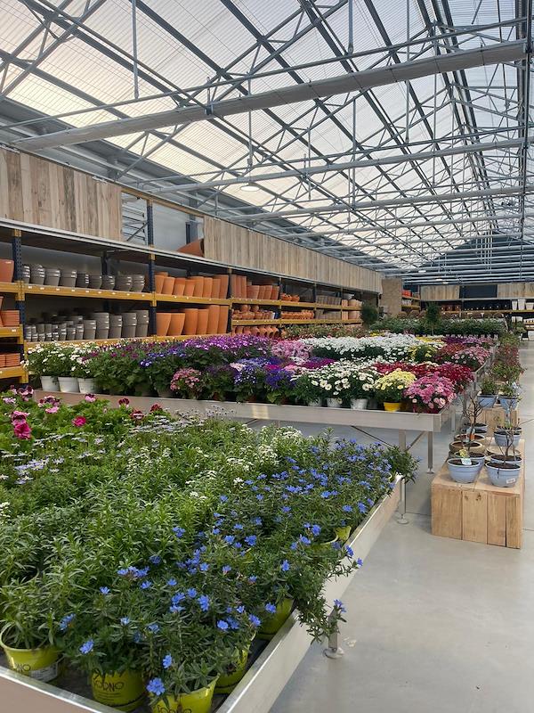 Caricamento massivo 2025-09-25 / 50