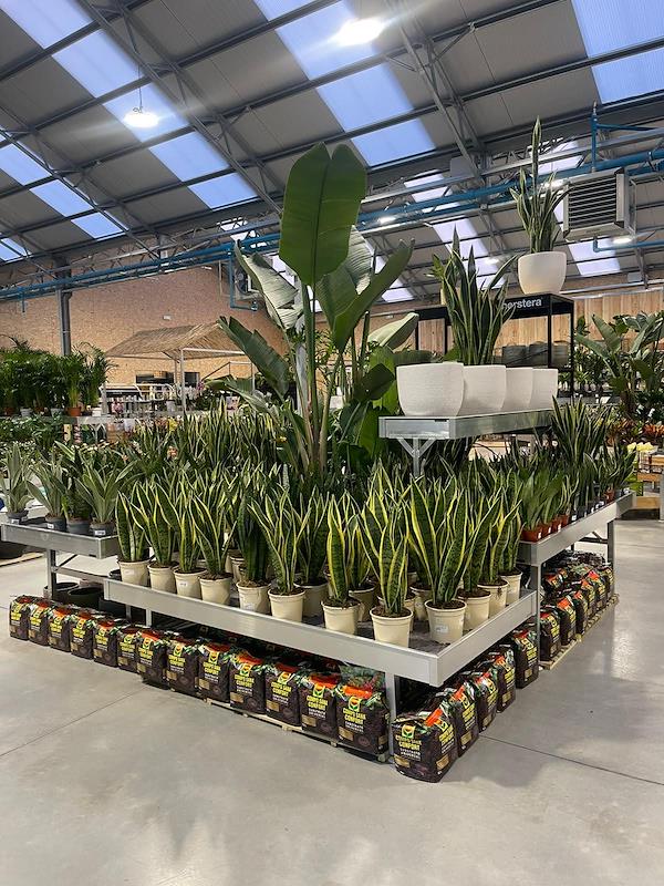 Caricamento massivo 2025-09-25 / 52