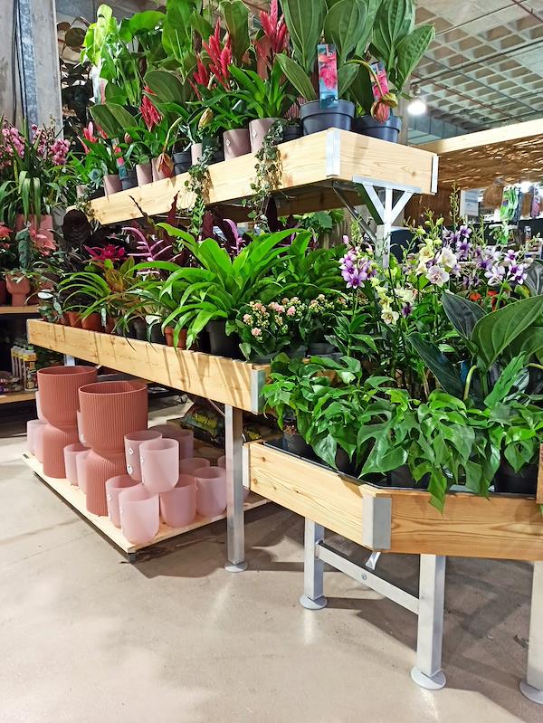 Caricamento massivo 2025-09-25 / 53