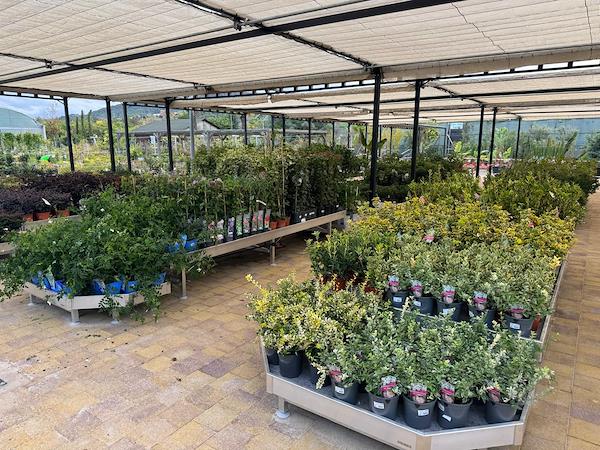 Caricamento massivo 2025-09-25 / 56