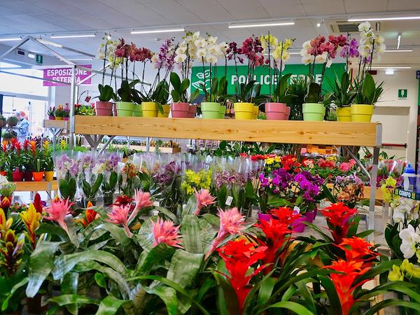 Caricamento massivo 2025-09-25 / 6