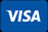 visa payment